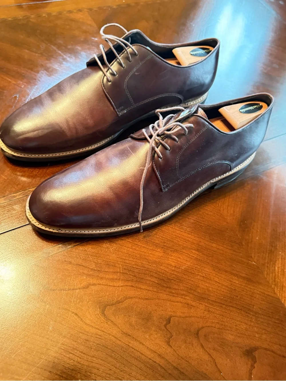 Allen Edmonds Men's Dark Brown Leather Derby Shoes